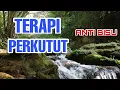 Download Lagu SEMBUH‼️Terapi suara perkutut lokal ngayer disertai air gemricik mengalir, ampuh merangsang bunyi