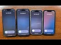 Download Lagu iPhone 16 Pro Max vs 15 Pro Max vs 15 Pro vs 16e No Caller ID Incoming Call iOS 18.5 + My Cat