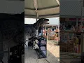 Download Lagu Who let a Dino behind the decks?!  #dinosaur #funny #dj #rave