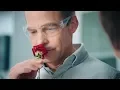 Download Lagu SC Johnson Corporate Values | Natural vs. Chemical
