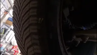                             دندنها