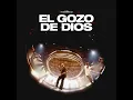 The Joy (Live Bilingual Version)