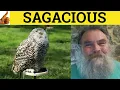 Sagacious Sagacity - Sagacious Meaning
