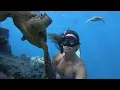 Lagu Snorkelling Rarotonga, turtles everywhere! Avaavaroa Passage and Fruits of Rarotonga- Cook Islands.