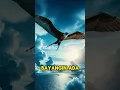Download Lagu Burung yang Tidak Pernah Capek Terbang! #shorts #faktaunik #burung