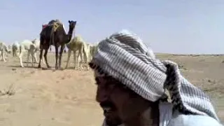 سوداني في الغربة وجع شديد 