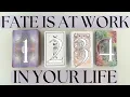 HOW IS FATE AT WORK IN YOUR LIFE? (Pick A Card) Tarot Reading