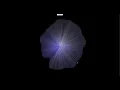 Audio Visualizer Tutorial