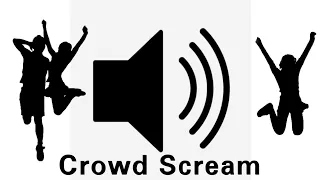 Crowd Scream Sound Effect 