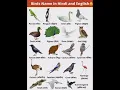 Download Lagu 20 Birds name in English and Hindi #shorts #shortsbirdsname