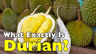 What Exactly Is Durian The King of Fruits Explained