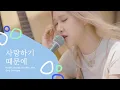 Rosé - Because I Love You (Song Cover) | The Sea of Hope