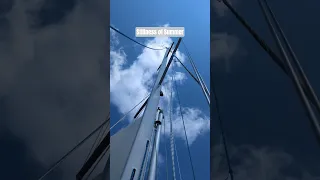 Stillness of Summer. #soothingrelaxationrelaxing