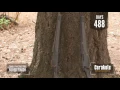 Cerakote vs Bluing 15 Month Time Lapse Outdoor Corrosion Test Part 2