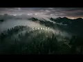 Intro check