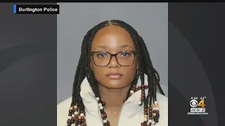 Lasell University student bought Tesla after stealing 547 000 in credit card scam police say