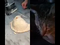 Download Lagu Pepperoni Calzone is Good for Mr Kitty Because He Has Sophisticated Taste DELICIOUS RECIPE