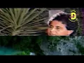 الرائع سعدون جابر يا أمي يا أم الوفا