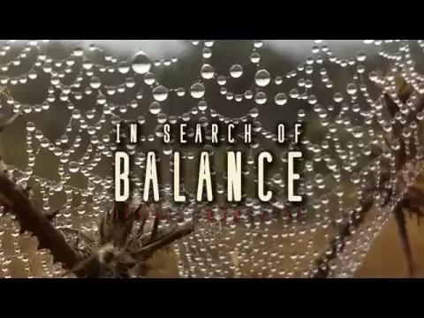 In Search of Balance - Official Trailer