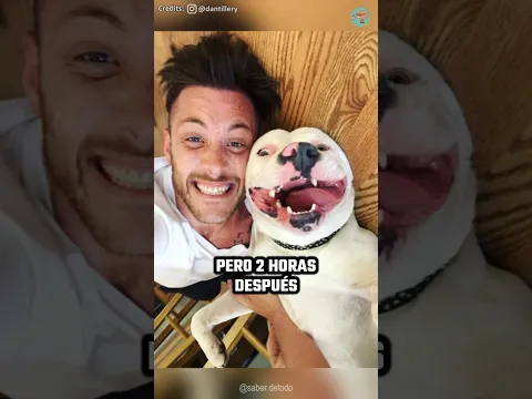 Subió una selfie con su perro, pero 2 horas después la policía llega a su casa #shorts