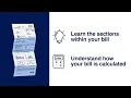 DTE - Understanding Your Bill
