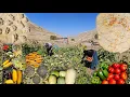 Download Lagu Het bakken van lokaal brood op traditionele wijze en het oogsten van biologische groenten en fruit 🍅