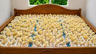 How I Turned an Old Bed into a Giant Egg Incubator! 🐣🥚 | 40 Days Later From Chicks to Chickens