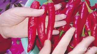 طريقة عمل هريسة الشطة زى المحلات وصفات مصرية 