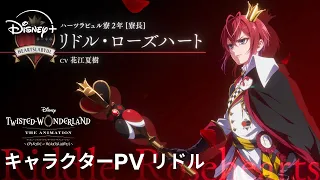 YouTube影片, 內容是迪士尼扭曲仙境：動畫版－紅心宿舍篇 的 「 リドル 」角色宣傳影片