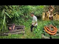 Download Lagu Helping a woman in distress and checking fish traps, building a life from scratch, Trần Công
