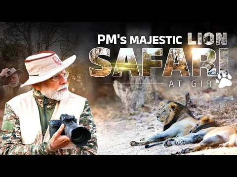 PM Modi embarks on a thrilling Lion Safari at Gir National Park on World Wildlife Day
