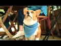 Briumvi Commercial 2025