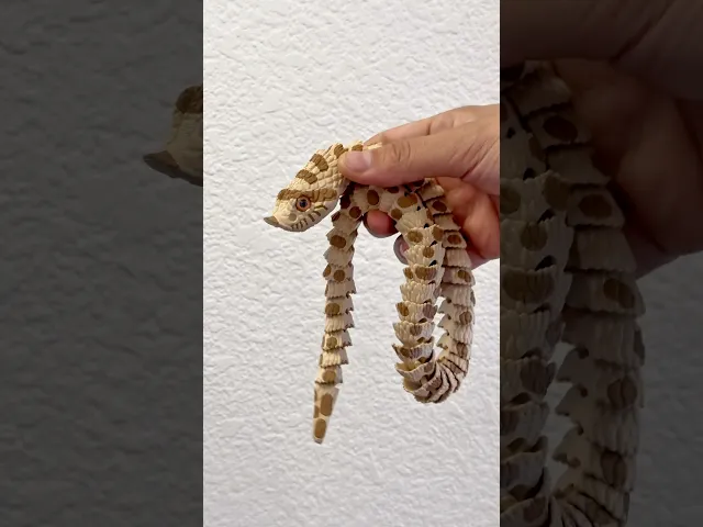 Articulated Hognose Snake | Pre-Painted + Optional 8mm Glass Eye Version video thumbnail
