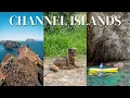 Channel Islands National Park 101 Essential Tips for First-Time Visitors