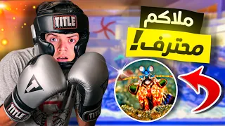   مخلوقات بحرية لديها قوة خارقة    دندنها