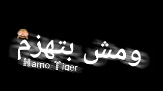 حالات واتس مودي امين انا حمله ومش بتهزم 