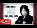 Download Lagu Andolin Sibuea - Ndang Hadong Nasala | Pop Batak [OFFICIAL]