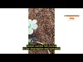 Review FSLLWGWG Garden Sprinkler Crazy Daisy Sprinkler Flower Sprinklers Decorative Sprinklers R