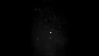 Tilekid You Not The Same Slowed Reverb 