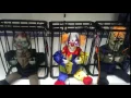 Halloween Animated Prisoner In Cage - Skeleton clown zombie NEW HALLOWEEN PARTY DECORATION