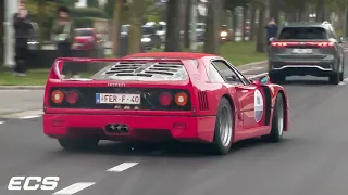 Supercars Accelerating - CRAZY F40, Challenge Stradale, Countach, 849 Testarossa, 12Cilindri