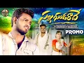 Download Lagu SALLAGUNDARADE Promo Song || Subhash Sharma || Babu || Nookaraju || Asiya || Pallevelugu Floks