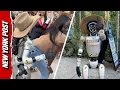 Download Lagu Wie zit er achter 'Rizzbot'? TikToks onbeschofte robot arriveert in New York | Raar maar waar