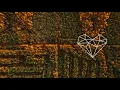 Holed Coin - Acting Weird (Original Mix) [Downtempo / Downtempo Love]