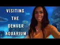 VISITING THE DENVER AQUARIUM EVERYTHING YOU NEED TO KNOW