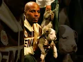 Download Lagu Dogs For Life 💜🐾💜 #earthangel #dmx #dmxxmusic #liveinhappiness #pitbull