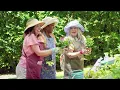 Get to Know Humana Group Medicare