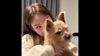 هاجي على نفسي تامر عاشور   مسرعه          دندنها