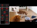 Communicator 5 Accessible Apps
