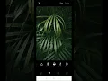 Quick and Easy VSCO Tutorial Using Android